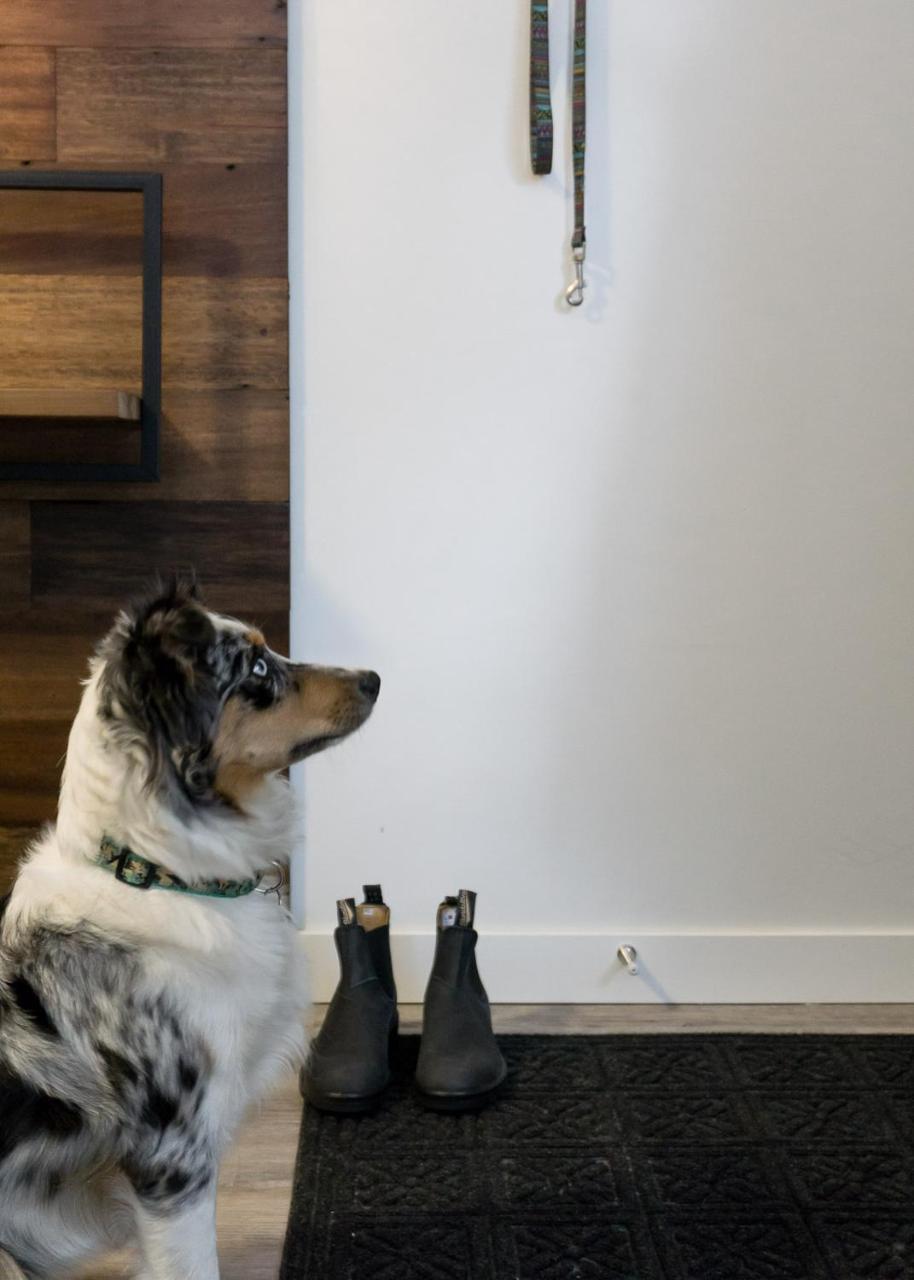 Tiny Homes By Snow Valley Lodging Fernie Exteriör bild